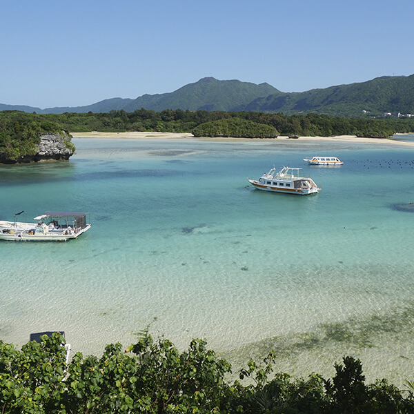 たまちゃんさま