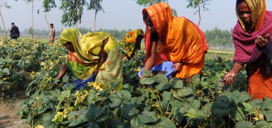 バングラデシュとはどんな国？文化や生活スタイルを解説