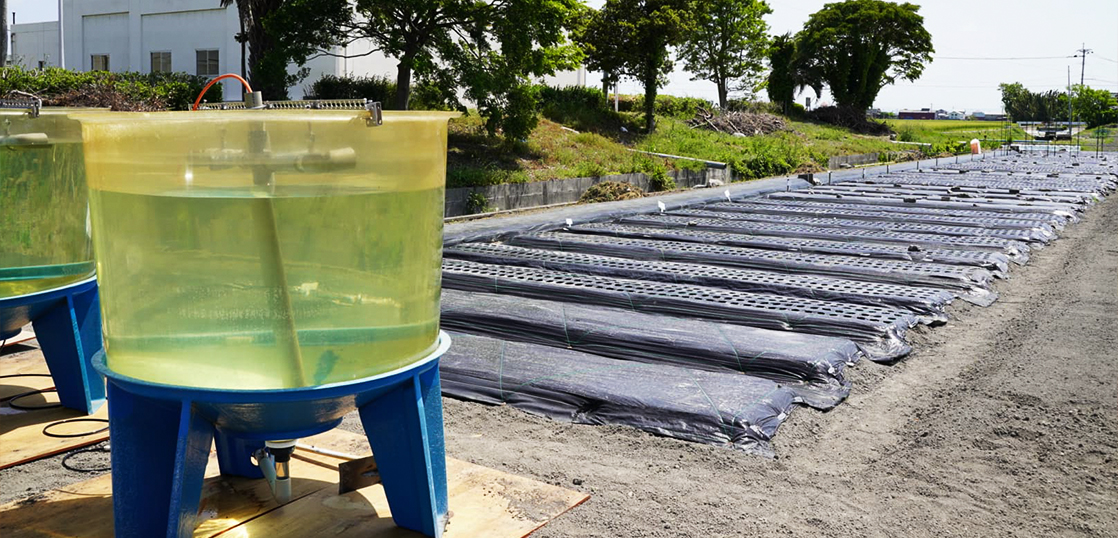 vol.45  ユーグレナ由来の肥料研究を加速させよ。